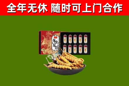 大名回收冬虫夏草价格